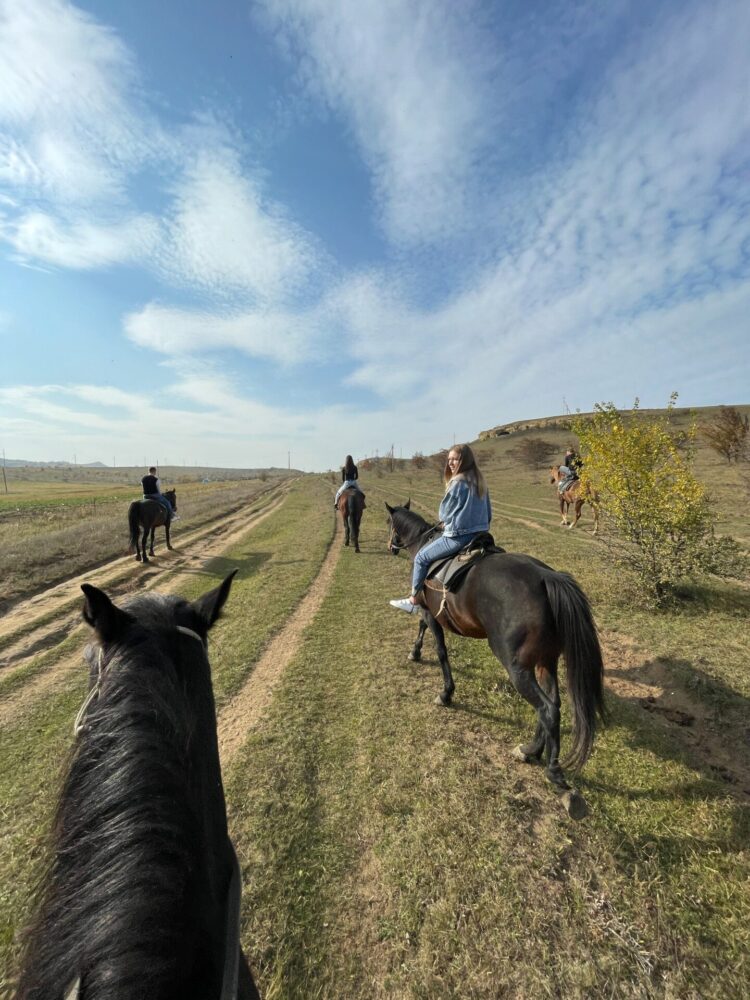 The Therapeutic Benefits of Horseback Riding: Equine-Assisted Activities